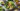 Vegetarian Keto Made Easy: Your Plant-Based Low-Carb Path