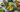 Vegetarian Keto Made Easy: Your Plant-Based Low-Carb Path